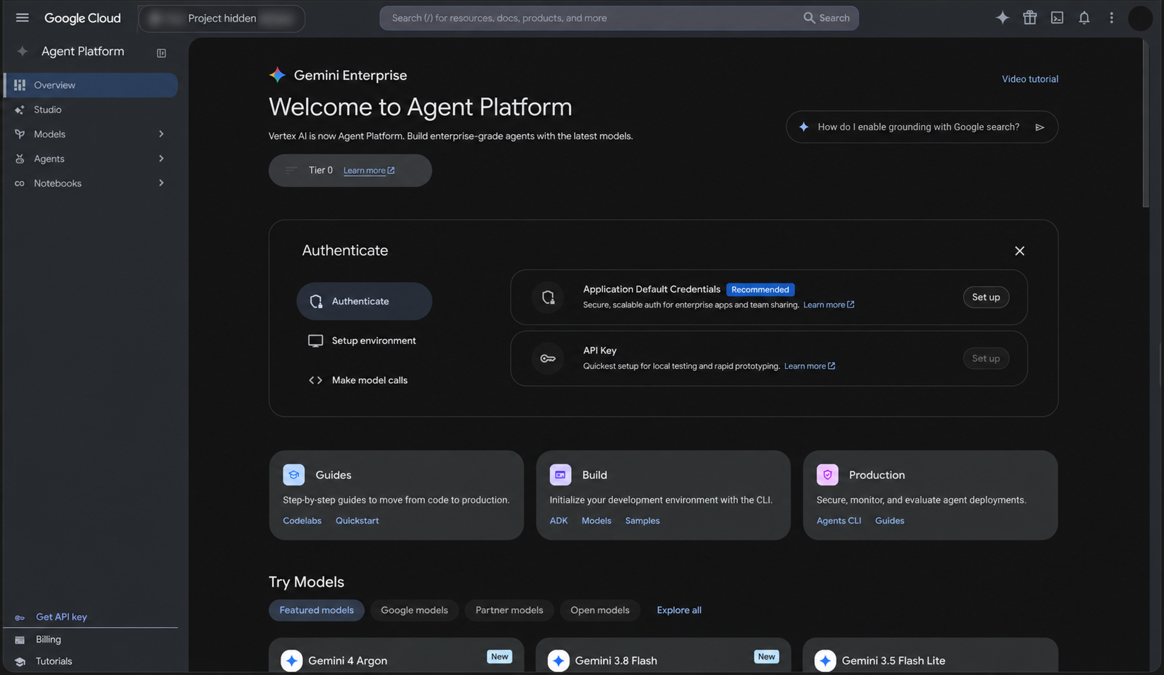 Edited Gemini Enterprise Agent Platform overview screenshot showing authentication, environment setup, and model-call onboarding, with project and account details concealed